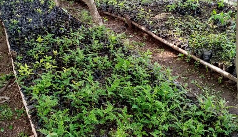 AGROECOLOGIE